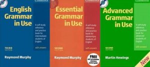 Erasmus Sınav Soruları Kaynak